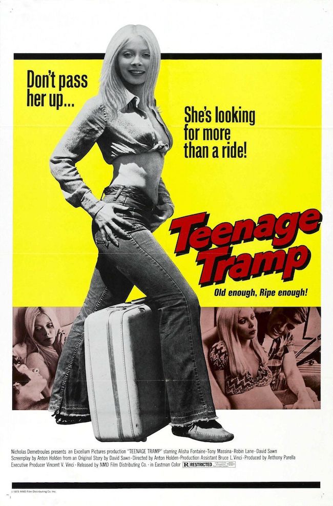 Teenage Tramp 1973