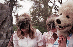 The Wicker Man (1973) gif