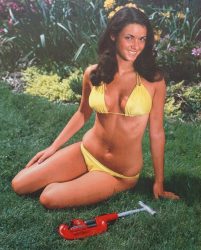 A Ridgid Tools calendar pin-up 1979 A Ridgid Tools calendar pin-up, this time featuring model Denise Maddock for the months of May : June 1979.